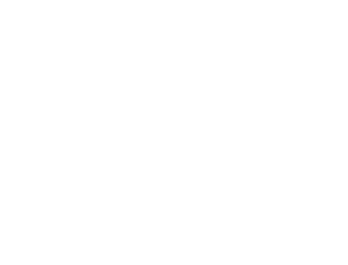 LLOYD BURGER